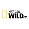 logo canal Nat Geo Wild