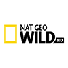 logo canal Nat Geo Wild